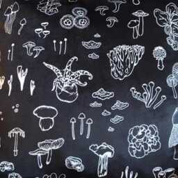 Fungi Specimens - Velvet Throw Pillowcase - thumbnail 2