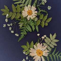 Dried Flower, Natural Glass Frame 30x35cm Wall Art - thumbnail 3