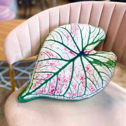 Caladium Leaf Pillow, Caladium Cushion, Urban Jungle Decor, Plant Lover Gift - thumbnail 2