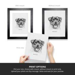 Custom Pencil Dog Portrait, Personalised Pet Art From Photo, Sketch Drawing Style, Illustration Memorial, Framed Portrait - thumbnail 2