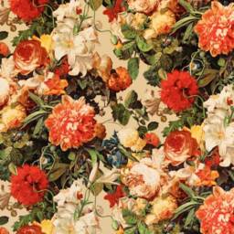 G P & J Baker - Mulberry Home Fabric Floral Pompadour Velvet A Stunning Cushion/Pillow Throws Many Sizes Available - thumbnail 2