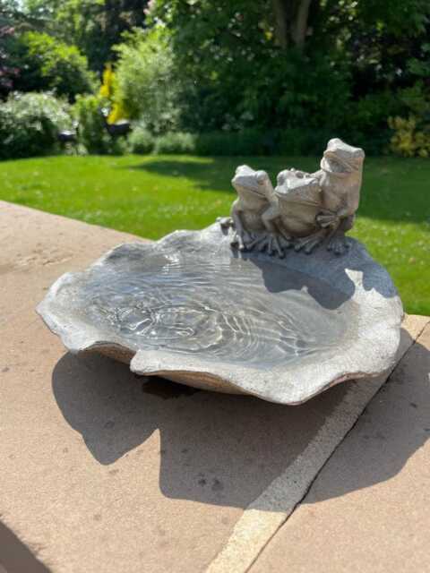 Resin Frog Leaf Bowl Bird Bath Feeder Seed Nut Birds Garden Gift Ornament Frogs - image 1