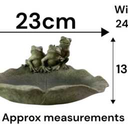 Resin Frog Leaf Bowl Bird Bath Feeder Seed Nut Birds Garden Gift Ornament Frogs - thumbnail 2