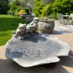 Resin Frog Leaf Bowl Bird Bath Feeder Seed Nut Birds Garden Gift Ornament Frogs - thumbnail 3