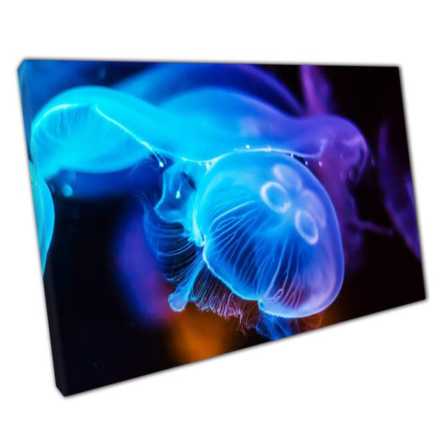 Ethereal Jellyfish Canvas Print Elegant Sea Life Photography For Home & Office Walls - image 1
