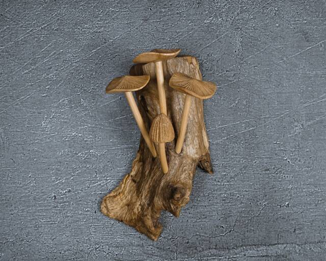Wooden Mushroom Wall Art Rustic Driftwood Decor 6 - image 1