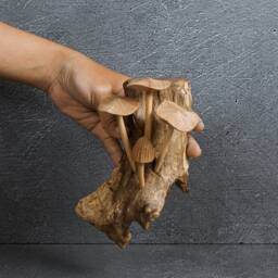 Wooden Mushroom Wall Art Rustic Driftwood Decor 6 - thumbnail 4