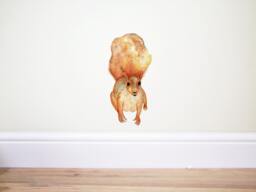 Squirrel Wall Decal, Squirrel Sticker, Woodland Decal, Squirrel Wall Art, Tree Decal, Animal Decal, Forest Animals, Squirrel Decor - thumbnail 1