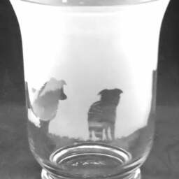 Border Collie Frieze Clear Glass Vase - 14.5cm, Boxed - thumbnail 3