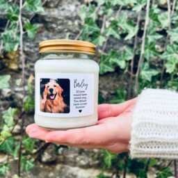 Personalised Pet Loss Candle - If Love Could Have Saved You, Dog Remembrance, Pet Memorial, Cat Memory, Loss Gift, Sympathy Gift - thumbnail 2