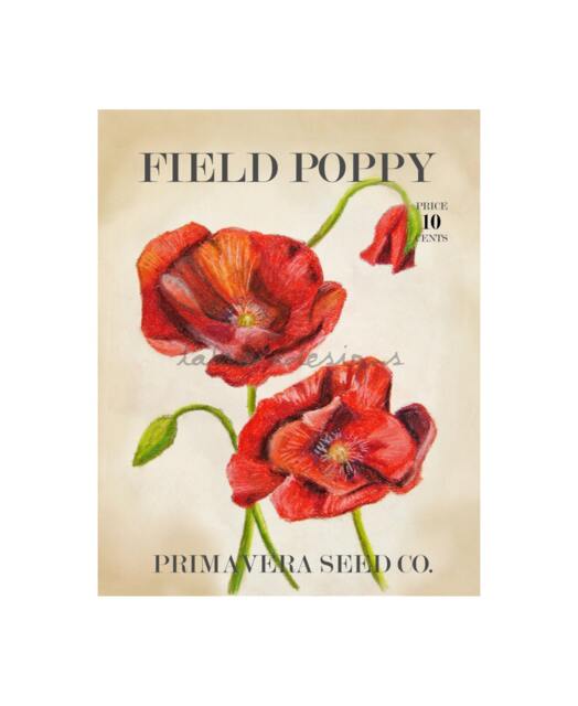 Garden Art - Poppy Decor Botanical Spring Farmhouse Gift For Gardener - image 1
