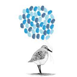 Sanderling Bird Print Fingerprint Guestbook, Nursery Art - Print Kit Option - thumbnail 3