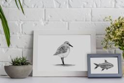 Sanderling Bird Print Fingerprint Guestbook, Nursery Art - Print Kit Option - thumbnail 1