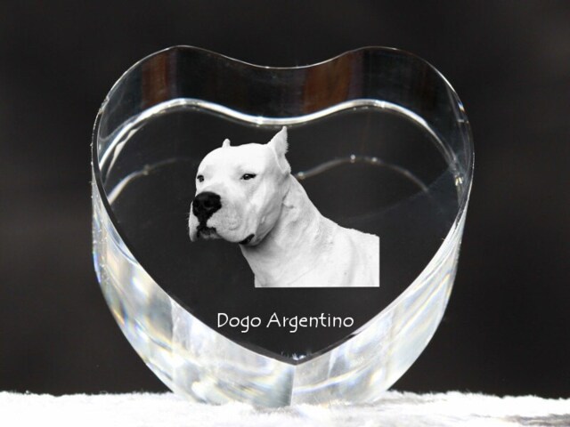Argentine Dogo, Crystal Heart With Dog, Souvenir, Decoration, Limited Edition, Collection - image 1