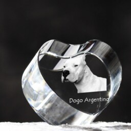 Argentine Dogo, Crystal Heart With Dog, Souvenir, Decoration, Limited Edition, Collection - thumbnail 3