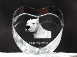 Argentine Dogo, Crystal Heart With Dog, Souvenir, Decoration, Limited Edition, Collection - thumbnail 1