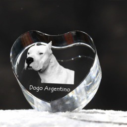 Argentine Dogo, Crystal Heart With Dog, Souvenir, Decoration, Limited Edition, Collection - thumbnail 2