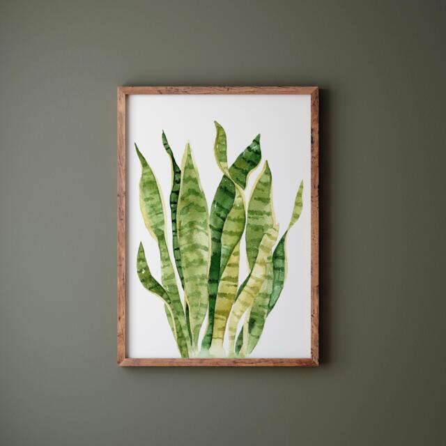Watercolor Snake Plant Print Botanical Wall Art - image 1