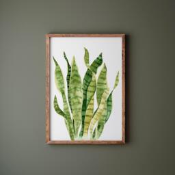 Watercolor Snake Plant Print Botanical Wall Art - thumbnail 1