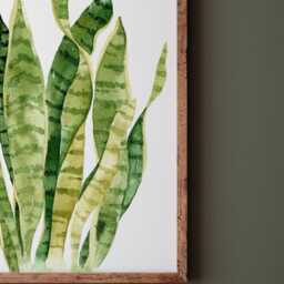 Watercolor Snake Plant Print Botanical Wall Art - thumbnail 2