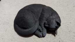 Cat Sleeping - 3D Printed For Lovers, Ornament, Memorial, Gift - thumbnail 1