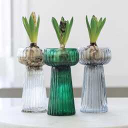 1x Hyacinth Bulb Vase - Spring Propagator Blue, Green, Grey Or Clear Glass Forcing - thumbnail 2