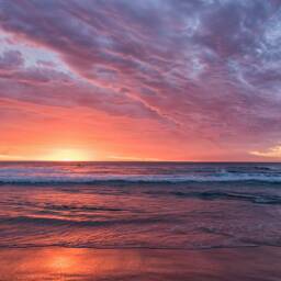 Pink Ocean - Sydney Sunrise Photography Art Print - thumbnail 2