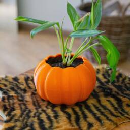 Halloween Pumpkin Planter - Spooky Home Decor Drainage Optional - thumbnail 4