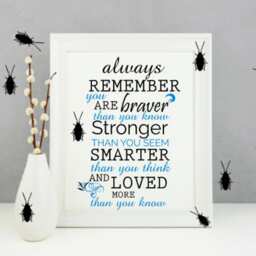 Cockroach Decals, Roach Decals, Halloween Wall Wall Bug Decals - thumbnail 2
