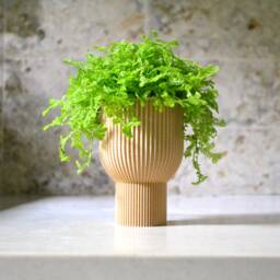"Tall Modern Planter ""Chalice" - thumbnail 3