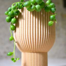 "Tall Modern Planter ""Chalice" - thumbnail 2