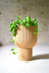 "Tall Modern Planter ""Chalice"