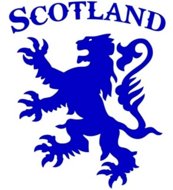 Scotland Lion Decal Scottish Car Sticker Vinyl Wall Art Bonnet Side Van Graphic Door Motorhome Campervan Caravan