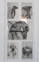 Wall Hanging, Art, Picture, Print, Etching Of Flowers Print Framed & Matted - thumbnail 2
