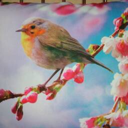 "Pillowcase Photo Print/Print, ""Birds" - thumbnail 3