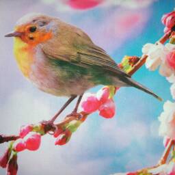 "Pillowcase Photo Print/Print, ""Birds" - thumbnail 4