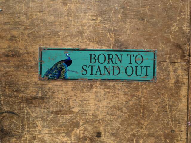 Born To Stand Out Peacock Door Sign Enamel Metal Tin Sign Wall Plaque
