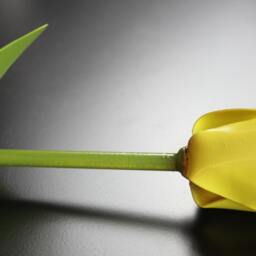 Metal Tulip, Yellow Flower, Wedding Industrial, 11Th Anniversary, 6Th 4Th Personalized - thumbnail 2