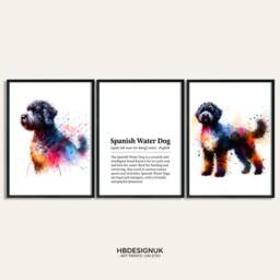Spanish Water Dog Prints - Set Of 3 Posters - Watercolor Definition Wall Art Colourful Painting Room Decor Pet Artwork Gift - thumbnail 2