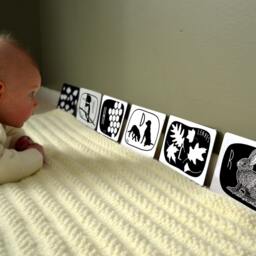 Baby Gift Alphabet Black & White Art Flash Cards - 26 Printed Cards - thumbnail 2