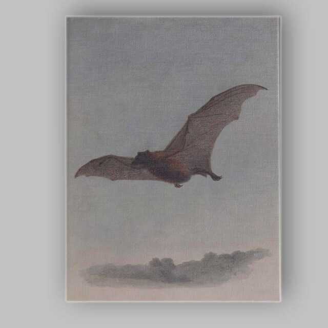 Flying Bat Natural History Wildlife Illustration Canvas Wall Art Print Decor Picture Ready To Hang - image 1