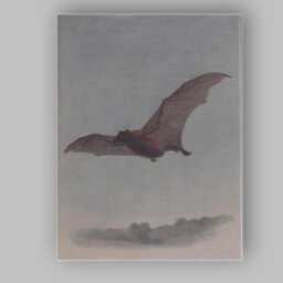 Flying Bat Natural History Wildlife Illustration Canvas Wall Art Print Decor Picture Ready To Hang - thumbnail 1