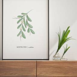 Mistletoe Poster, Decor, Botanical Christmas Minimalist Nordic Wall Christmas, Hygge Art - thumbnail 3