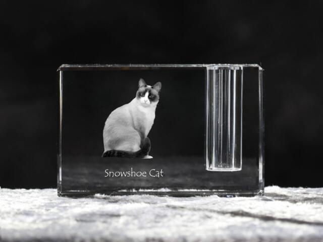 Snowshoe Cat , Crystal Pen Holder With Cat, Souvenir, Decoration, Limited Edition, Collection - image 1