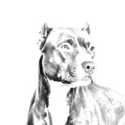 American Pit Bull Terrier - Wooden Stand For Candles/Pens With The Image Of A Dog New Collection - thumbnail 2