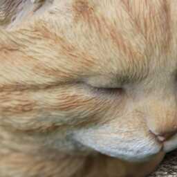 Ginger Cat Statue Concrete Sleeping Kitty Sculpture Outdoor Kitten Figurine Cement Animal Decor Garden Wild Life Ornament Kitty Lover Gift - thumbnail 4
