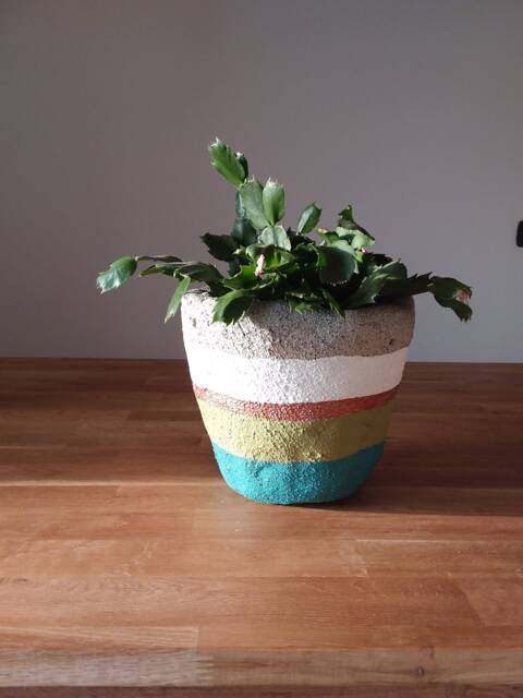 Small Concrete Plant Pot - image 1