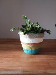 Small Concrete Plant Pot - thumbnail 1