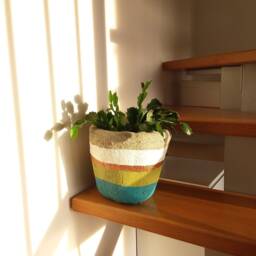 Small Concrete Plant Pot - thumbnail 3