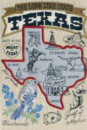 Texas State Pillow With Feather Insert - thumbnail 3